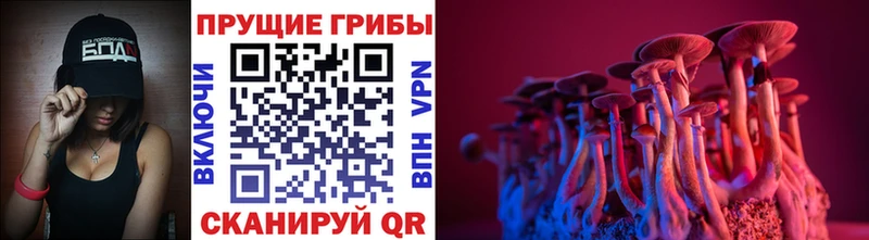 купить  цена  Копейск  OMG вход  Псилоцибиновые грибы Psilocybe 